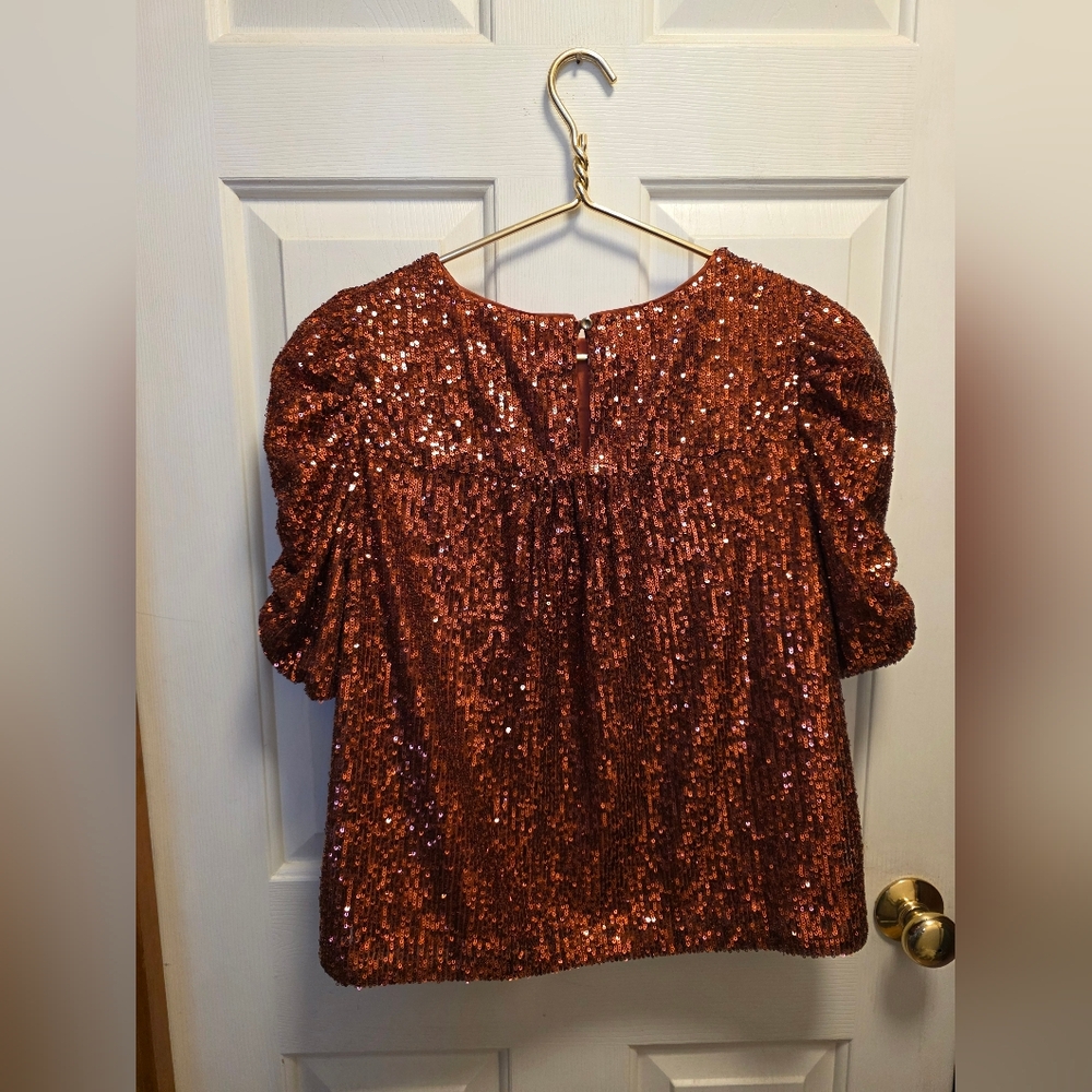 Anthropologie Marie sequin puff-sleeve top Size 6 New Without Tags - Picture 8 of 11